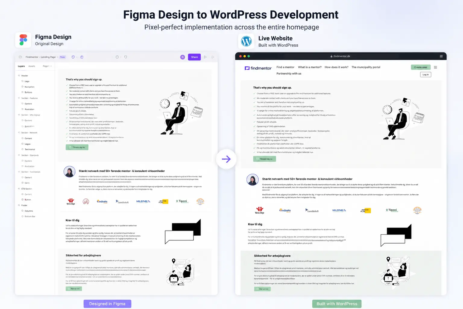 Find Mentor Figma design converted into responsive WordPress templates